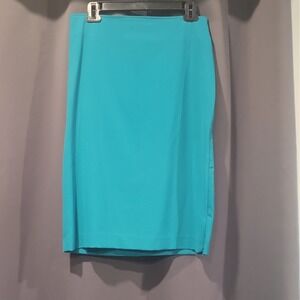 Diivine Modestee Women's Turquoise Solid Pencil Skirt 6 Knee Zip Slit